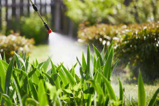 Tamper-Resistant Bait Stations for Rodents in Sayville