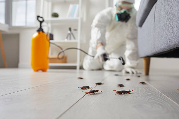 Commercial Rodent Management in Sayville